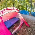 Camping Munich Oktoberfest Accommodation Party Camping Experience Múnich